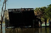 Translocation of 8 Rothschild giraffes to Lake Baringo Kenya