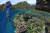 Woman dives along healthy coral reef Raja Ampat islands