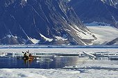 Kayakers in Holloway Bugt Greenland 