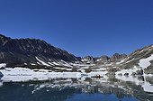 Kayakers in Holloway Bugt Greenland 