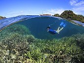 Woman snorkels over staghorn corals Indonesia ; In background the boat "Seven Seas" at anchor