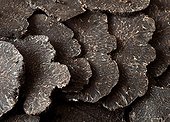 Black truffle