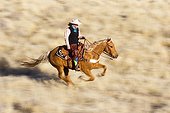 Cowboy in the prairie The Hideout Guest Ranch Wyoming USA ; Elizabeth Wolfson 