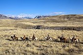 Cowboys in the prairie The Hideout Guest Ranch Wyoming USA ; Edward DeCabooter, Tom Bercher,Ramon Castro, 	Elisabeth Wolfson,Marijn Werquin,Peter DeCabooter,Rebecca Bercher