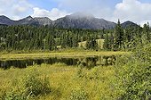 Landscape near the town of Jasper Jasper NP in Canada 