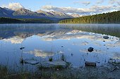 Reflections on Patricia Lake Jasper NP Canada