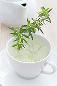 Stalk and herbal tea Winter Savory in a white cup 