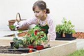 Girl with trowel and seedlings Tomato and Strawberry  ; Age: 7 years