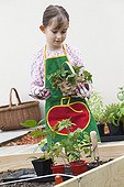 Girl with trowel and seedlings Tomato and Strawberry  ; Age: 7 years