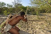 Bushman hunting with bow and arrows Kalahari Botswana