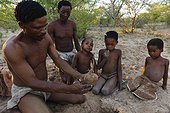 Bushman peeling a tuber used for water Kalahari Botswana