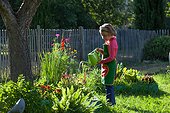 Little girl watering flowers in a garden