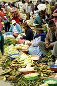 Selling fruit and vegetables at the market Saquissili Ecuado ; The Indian market on Thursday is the largest market in India and the country's oldest. For over 500 years, the populations of the Andes down to sell their products more diverse. 