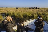 Tourist boat and African Elephants Chobe NP Botswana 