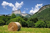 Mont Aiguille Cliff eastern Vercors France 