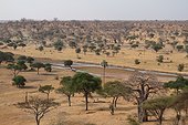Savannah view of Safari Lodge Tarangire NP Tanzania