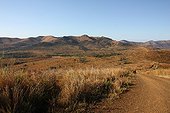 Track in Hluhluwe reserve South Africa