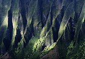 Waimea Canyon State Park in Hawaii  