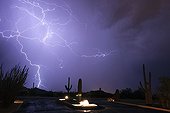 Thunderbolt and lightning striking the desert internuageux USA ; during the 2012 monsoon 