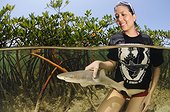 Woman and Juvenile Lemon Shark in mangroves Bimini Bahamas ; Bimini Biological Field Station