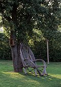 Armchair against a tree in a garden