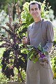 Man havesting beets in a  garden