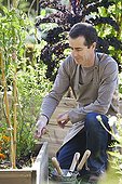 Man weeding in a kitchen garden