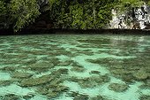 Shallow coral lagoon, Rock Islands, Palau, Micronesia.