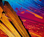 Portugal ; Oxalic acid crystals photomicrography with polarized light. Portugal