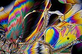 Portugal ; Naphthalene crystals photomicrography with polarized light. Portugal