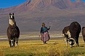 Aymara shepherdess spining the wool of Lama Sajama Bolivia