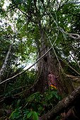 Character in front of a tree in the forest Amazonian Bolivia 