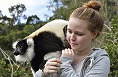 Black and white ruffed Lemur and tourist Andasibe Madagascar ; Lemur attracted by the food offered by a tourist 