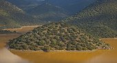 Reservoir of the river Jándula Sierra Andujar NP  Andalusia 
