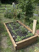Culture tray in an organic garden France 
