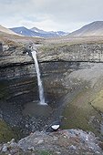 Black Guillemot at a waterfall Spitsbergen