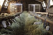 Sheepfold in Aveyron  France