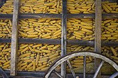 Réserve de maïs en Aveyron