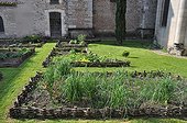 Squarefoot aromatic plants garden