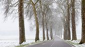 Country road in winter Lorraine France 