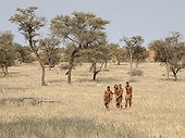Bushmen in Savannah Intu Afrika Kalahari Game Reserve ; During a very vivid demonstration a group of Bushmen impart some of their knowledge and skills to the present tourists (not visible on the photograph
