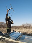 Radio tracking a leopard at the Okonjima Lodge Namibia ; home of the AfriCat Foundation