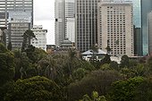 Skyscrapers and Royal Botanic Gardens in Sydney Australia