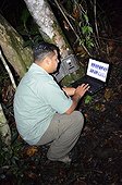 Jaguar or Puma Camera trap survey in Belize  ; Blancaneaux lodge. The property of Francis Ford Coppola, in the heart of the national park of Pines, participated in many projects for the protection of nature. here, the naturalist Roni Martinez 