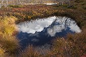 Reflection of clouds in a lake bog Sånfjället Sweden