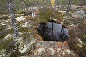 Pond on rock slab forest Skuleskogen Sweden 