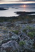 Vue du Golfe de Botnie PN Skuleskogen Suède