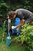 Burdock manure making in a kitchen ; Rich in potassium hydroxide, the burdock maybe soaked as the stinging nettle to produce a fertilizer favorable to vegetables, to rosebushes and to fruits. Diluted in 5 %, in spraying, it helps to fight against the mildew.