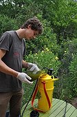 Burdock manure making in a kitchen ; Rich in potassium hydroxide, the burdock maybe soaked as the stinging nettle to produce a fertilizer favorable to vegetables, to rosebushes and to fruits. Diluted in 5 %, in spraying, it helps to fight against the mildew.