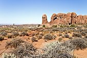 Landscape of Window Section in Arches NP USA